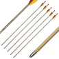 Preview: Haller wooden arrows, 5 pcs. plastic nocks, soft tip, 31 inch/79 cm